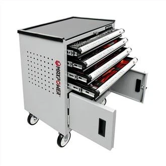 231 gab. Automobiļu instrumentu komplekts ar instrumentu ratiņiem